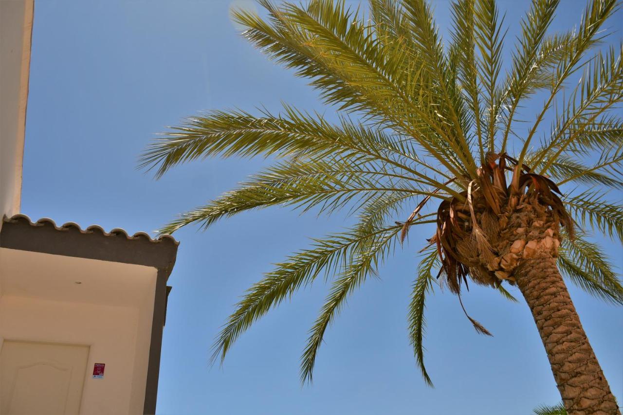 Kiwidestiny Alicante San Juan  Dış mekan fotoğraf