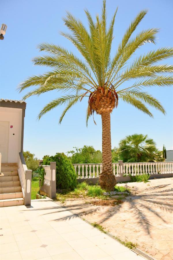 Kiwidestiny Alicante San Juan  Dış mekan fotoğraf