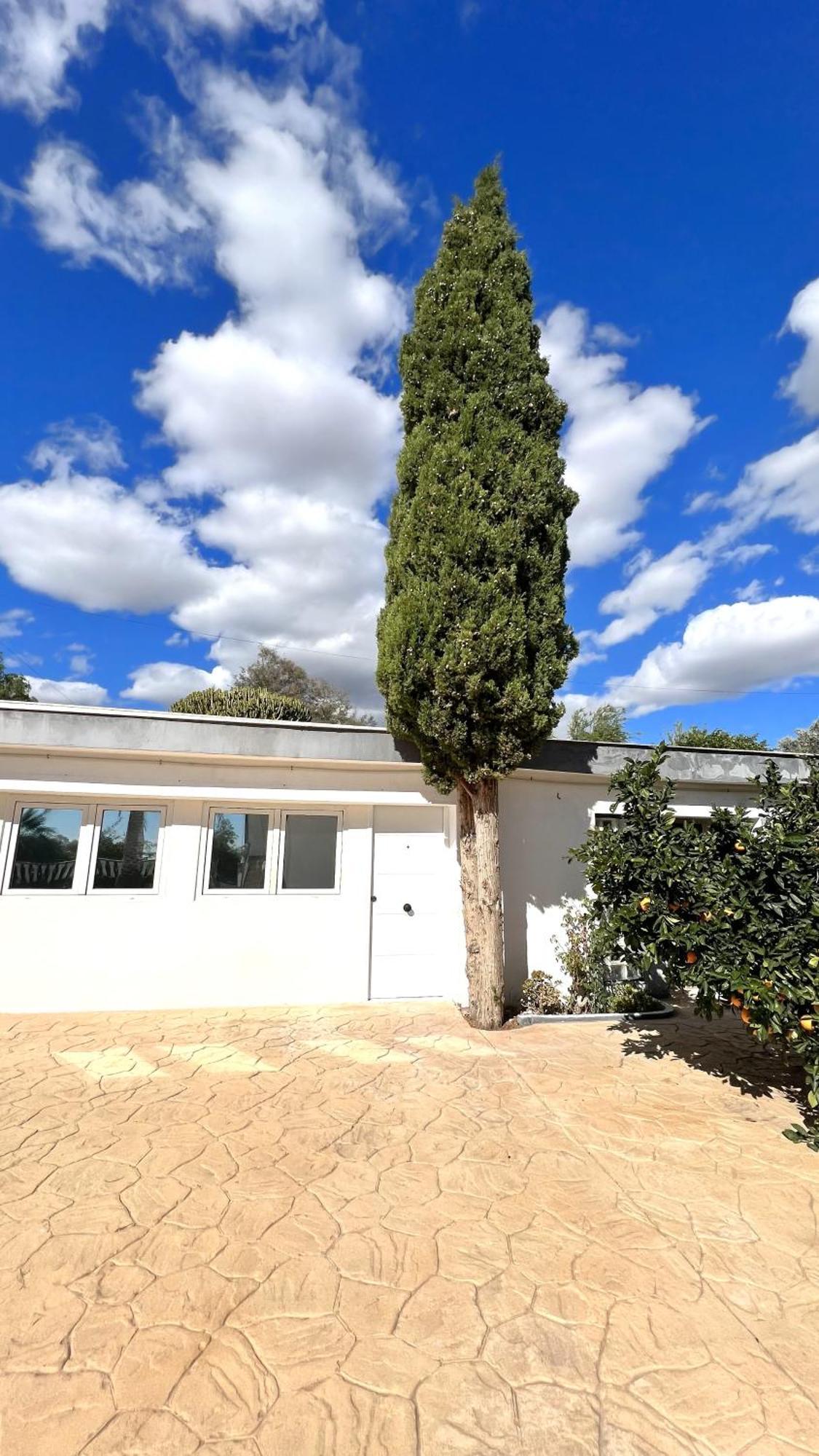 Kiwidestiny Alicante San Juan  Dış mekan fotoğraf