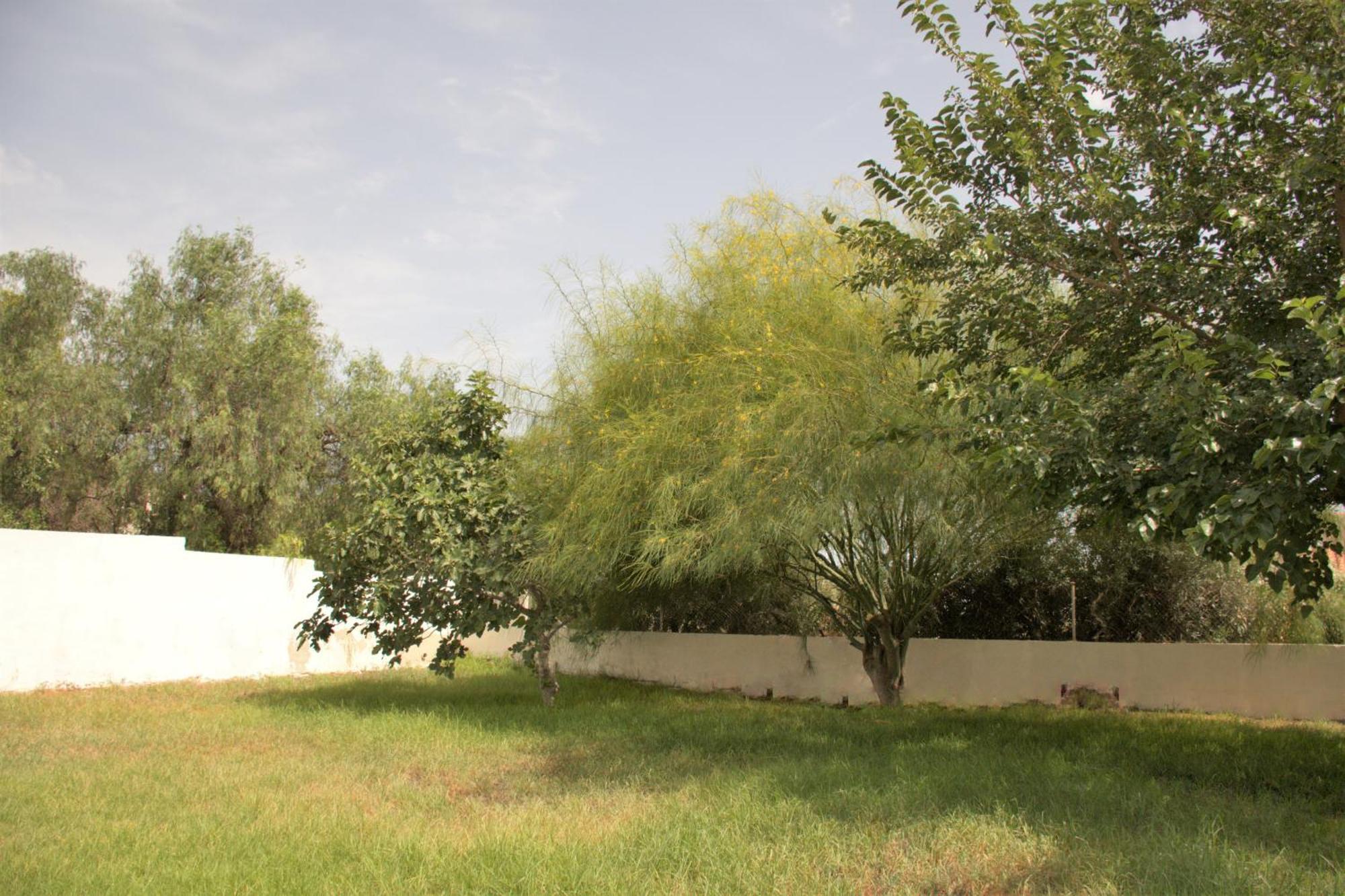 Kiwidestiny Alicante San Juan  Dış mekan fotoğraf