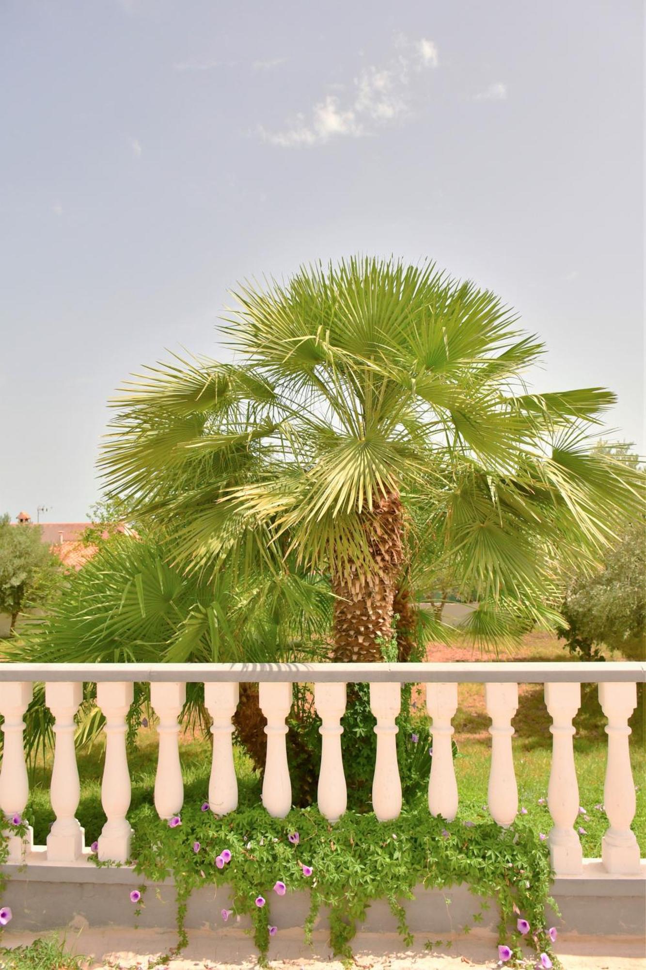 Kiwidestiny Alicante San Juan  Dış mekan fotoğraf