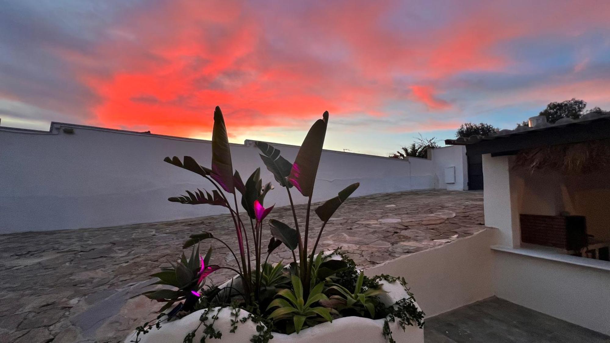 Kiwidestiny Alicante San Juan  Dış mekan fotoğraf