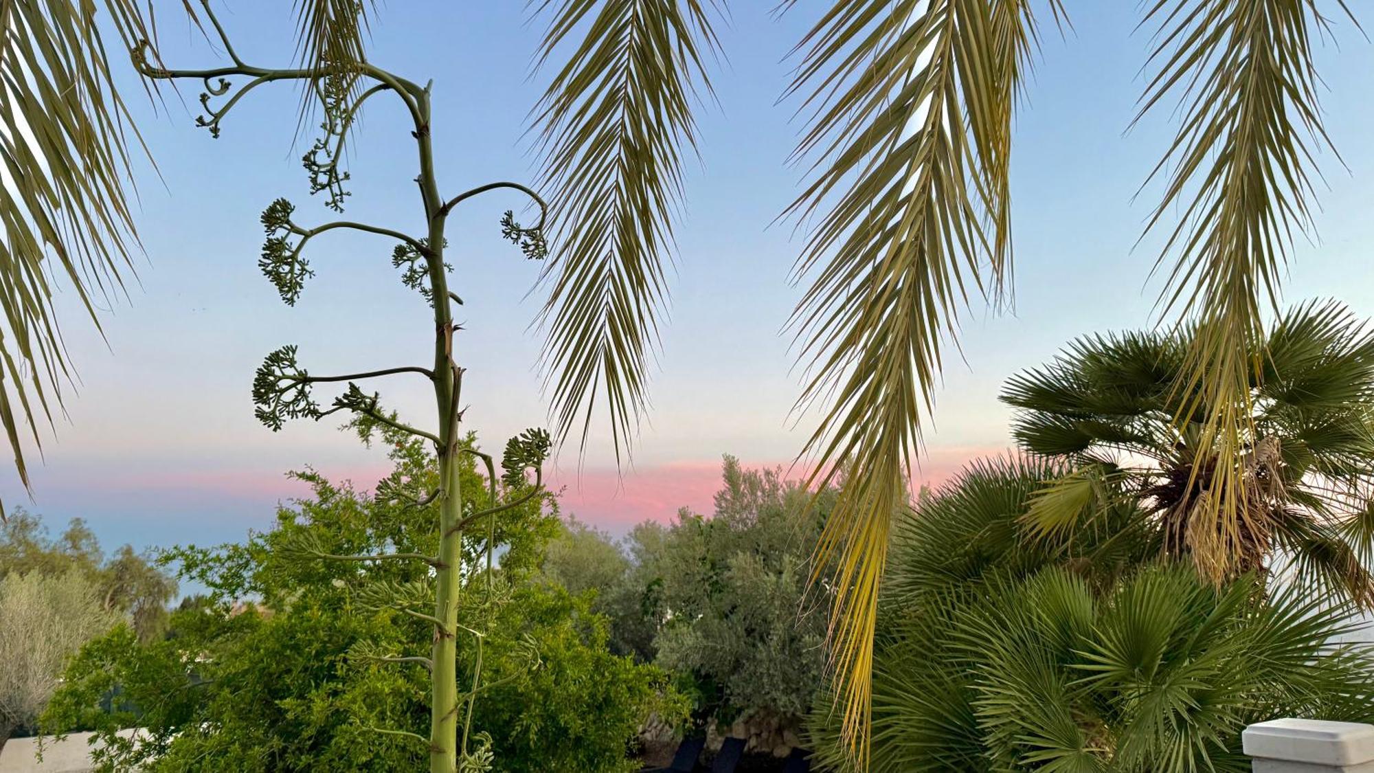 Kiwidestiny Alicante San Juan  Dış mekan fotoğraf